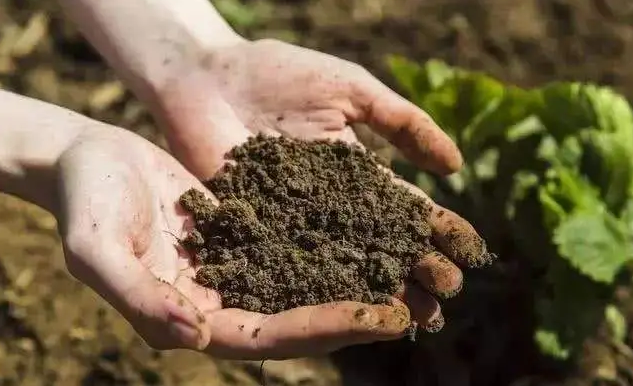土壤样品前处理的三种形式